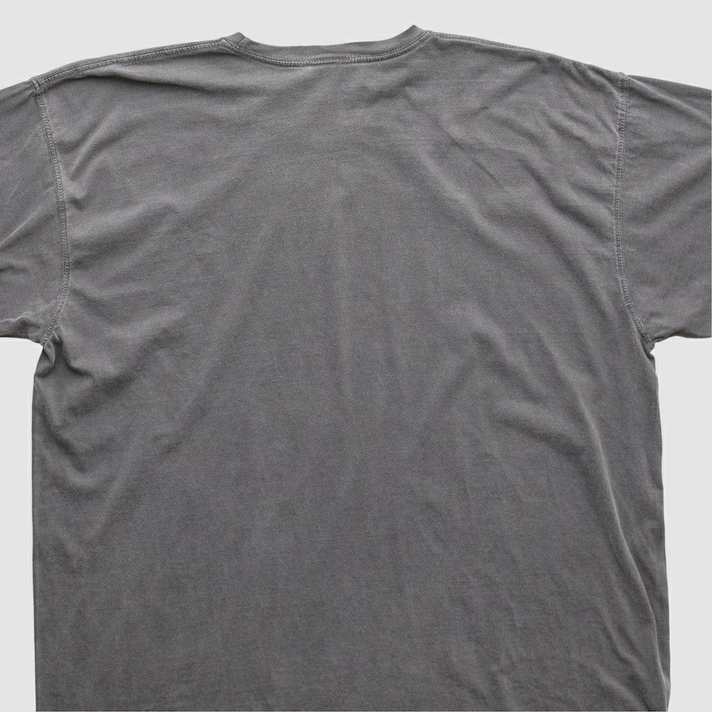 Cleveland Browns NFL 2010s T-shirt Charcoal Vintage - Fanatics