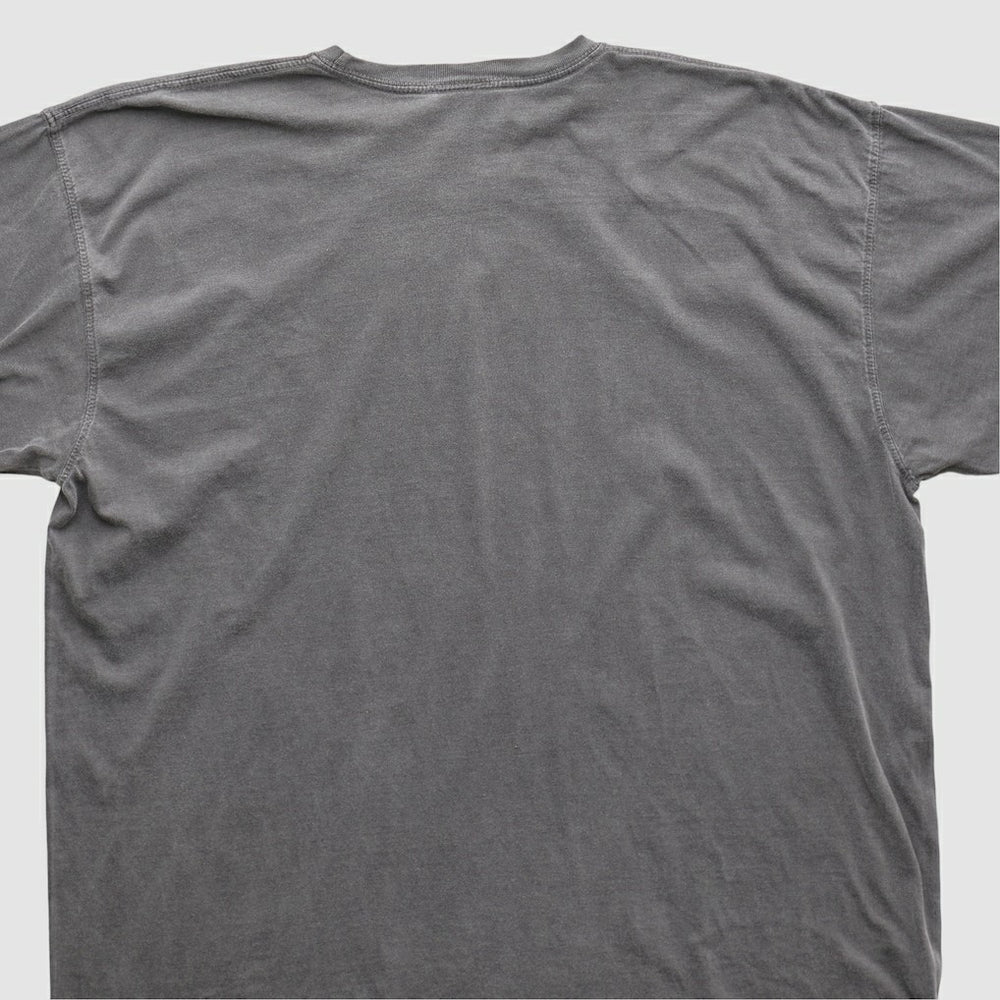 Cleveland Browns NFL 2010s T-shirt Charcoal Vintage - Fanatics