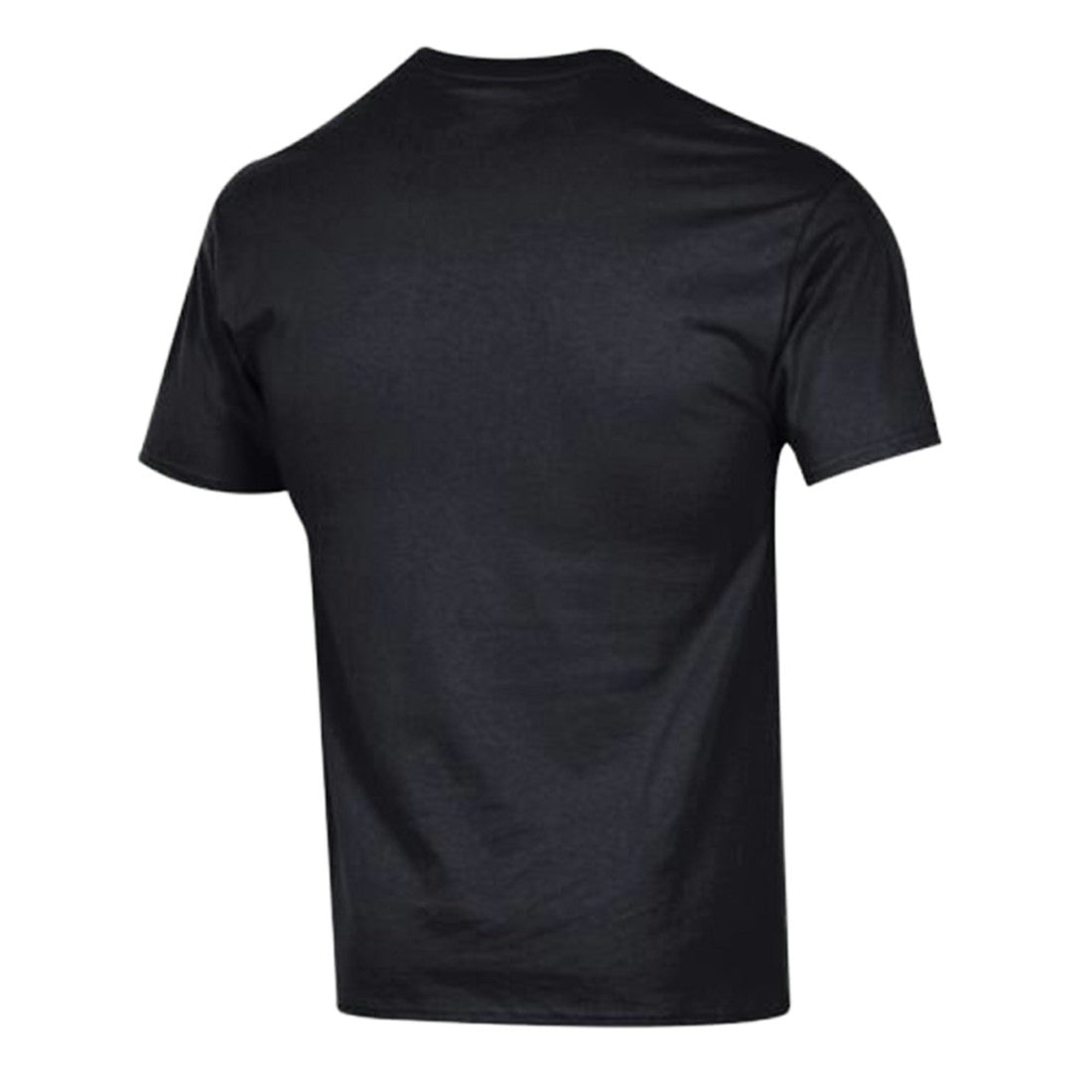 Detroit Lions Champion Arch Over Logo T-Shirt Black - NFL