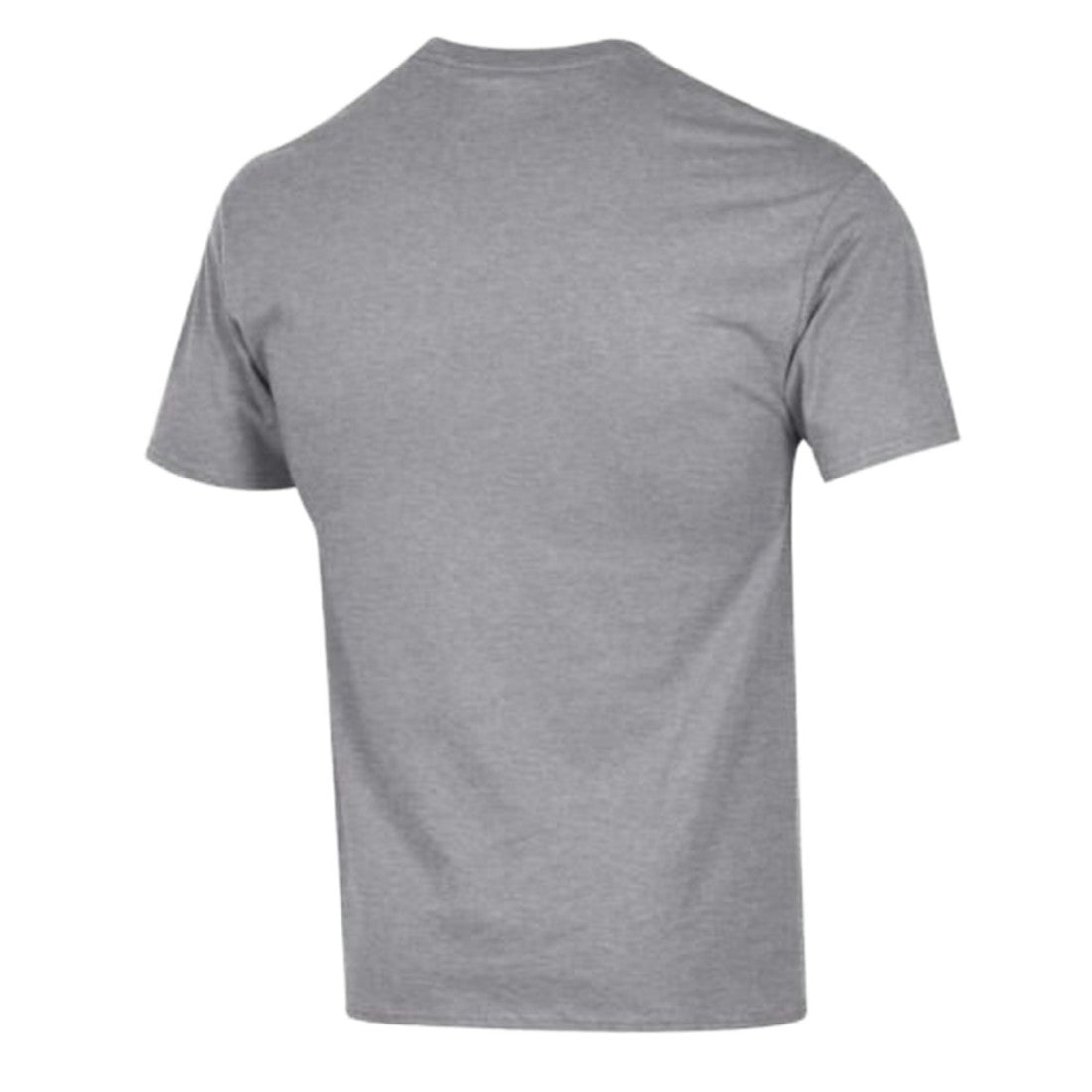 Detroit Lions Champion Arch Over Logo T-Shirt Gray - NFL
