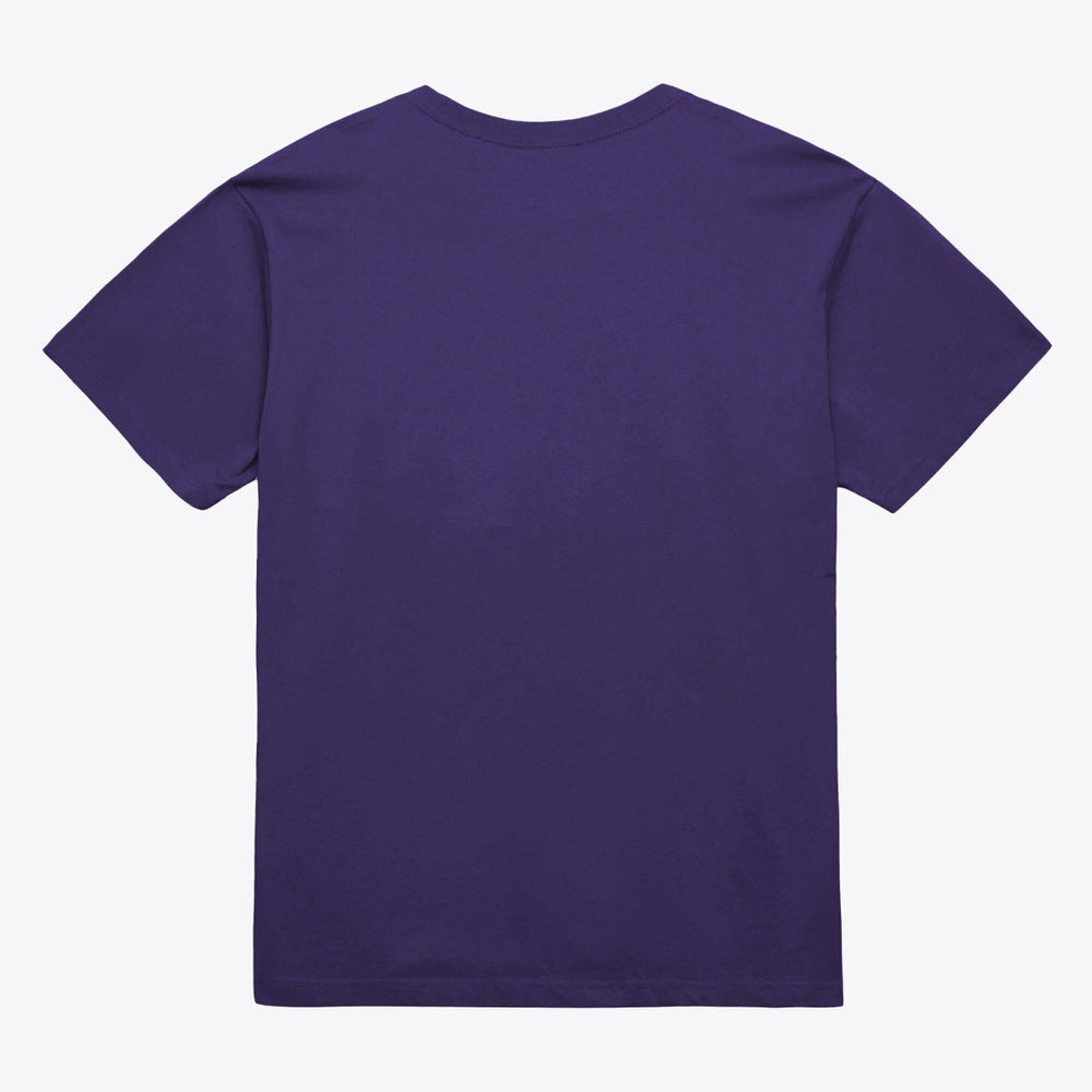 Mitchell & Ness - Phoenix Suns Unisex Hardwood Classics Arch T-Shirt - Purple