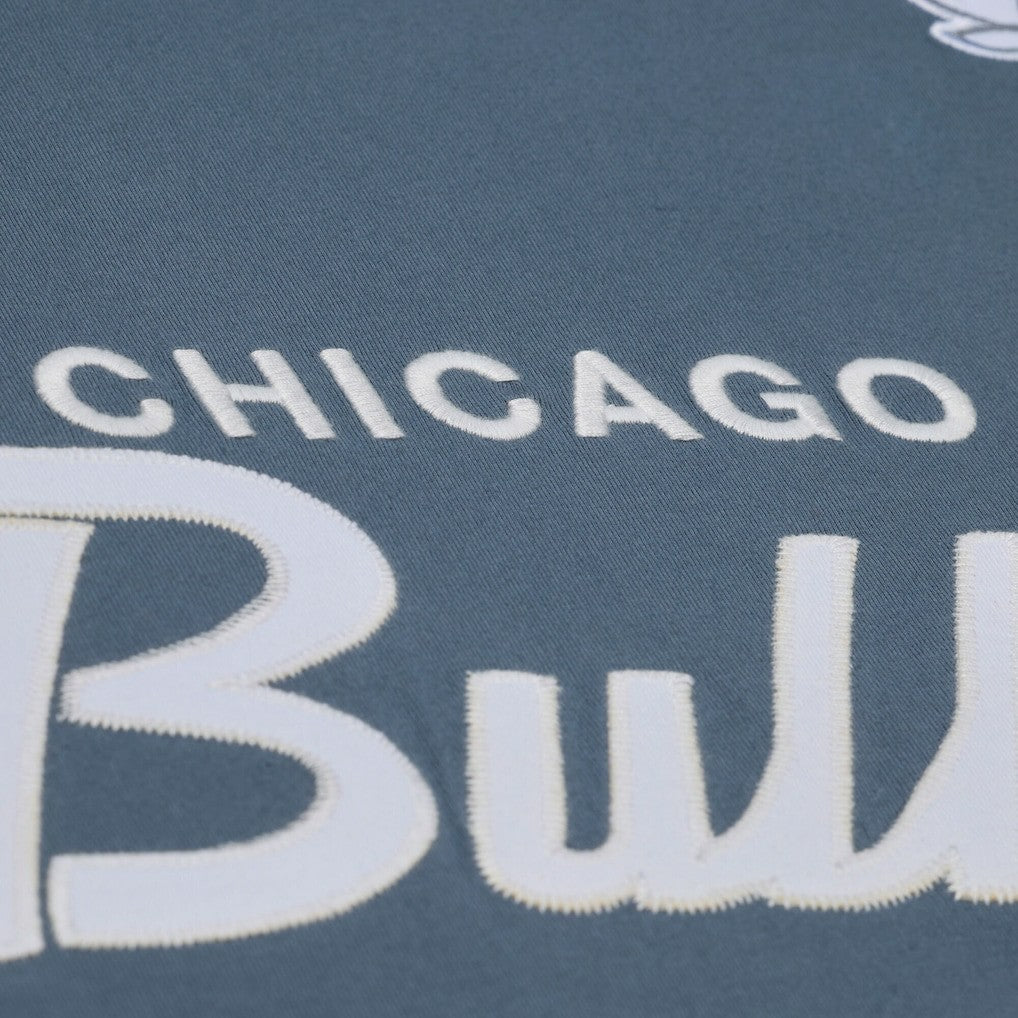 Mitchell & Ness - Chicago Bulls Thunderstorm T-Shirt - Blue