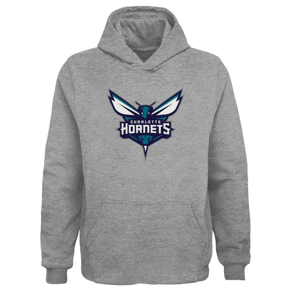 NBA - Charlotte Hornets Outerstuff Youth Primary Logo Pullover Hoodie - Gray