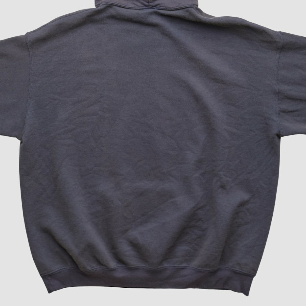 Minnesota Twins MLB 2000s Hooded Pullover Sweatshirt Online