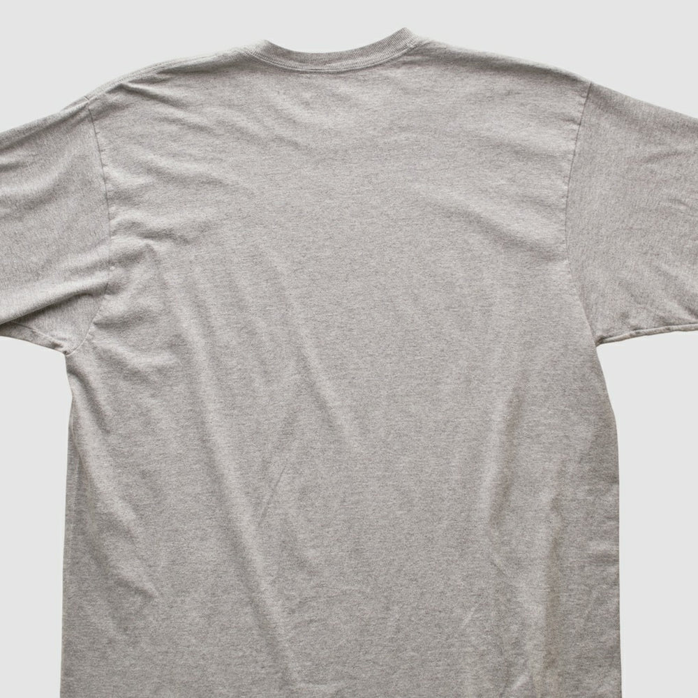 Pittsburgh Steelers Reebok 2009 T-shirt Heather Gray Vintage - Fanatics