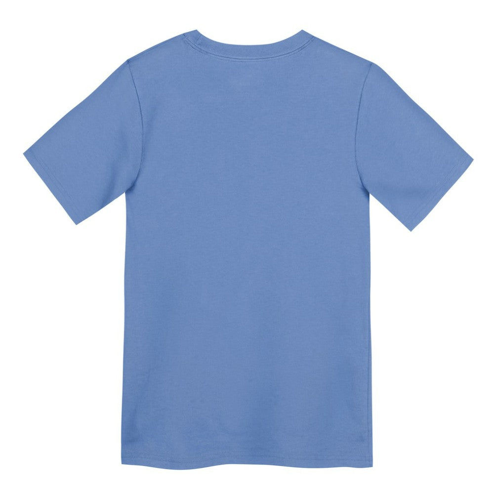 Chicago Cubs Nike Preschool Electric Bear Alternate T-Shirt On Sale