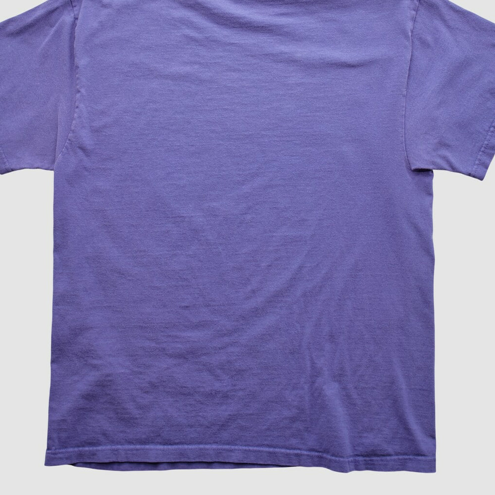 Minnesota Vikings NFL 2000s T-shirt Purple Vintage - Fanatics