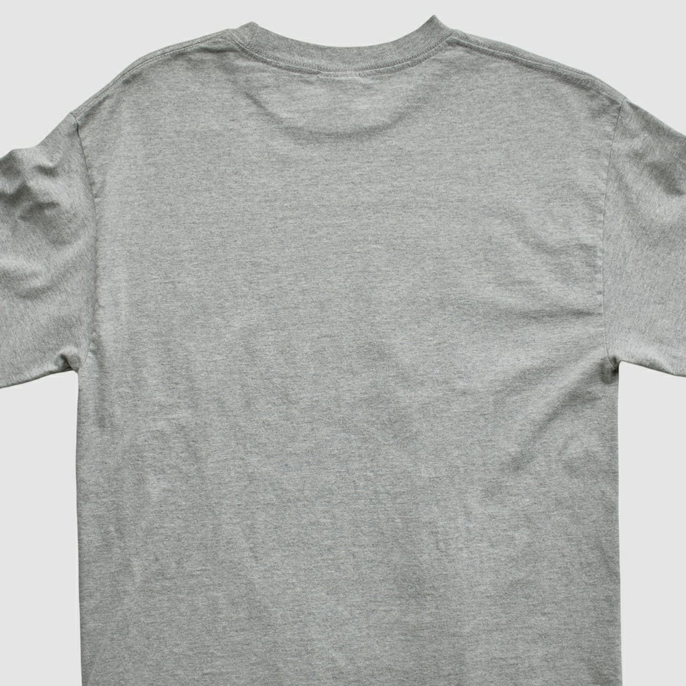 Division Champions NFL 2006 Long Sleeve T-shirt Heather Gray Vintage - Fanatics