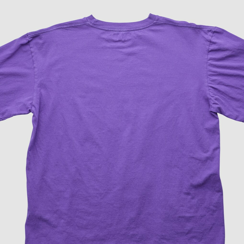 Minnesota Vikings NFL 2000s T-shirt Purple Vintage - Fanatics