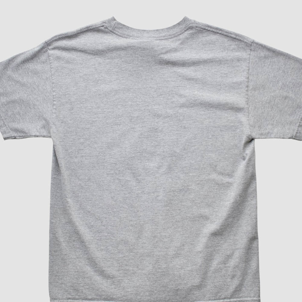 Denver Broncos NFL 2000s T-shirt Heather Gray Vintage - Fanatics