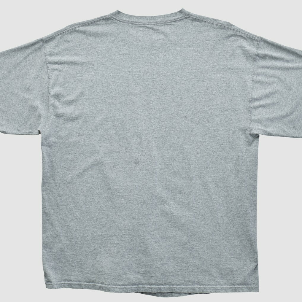 Miami Dolphins NFL 2000s T-shirt Heather Gray Vintage - Fanatics