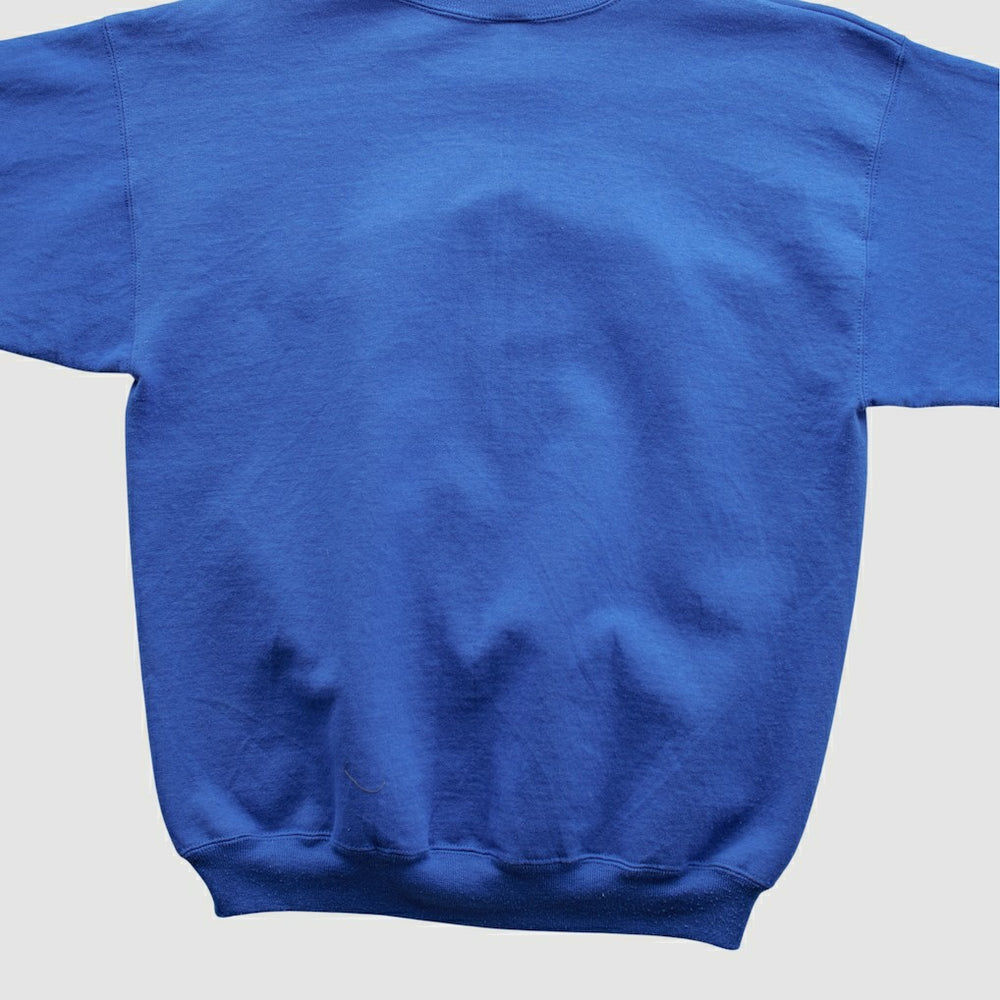 New York Giants Champion 90s Pullover Sweatshirt Blue Vintage - Fanatics