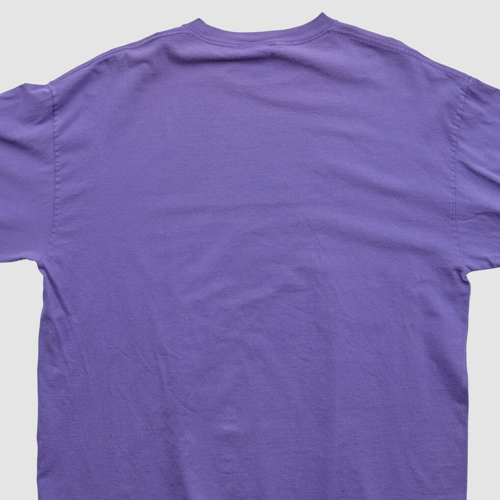 Minnesota Vikings NFL 2010s Long Sleeve T-shirt Purple Vintage - Fanatics