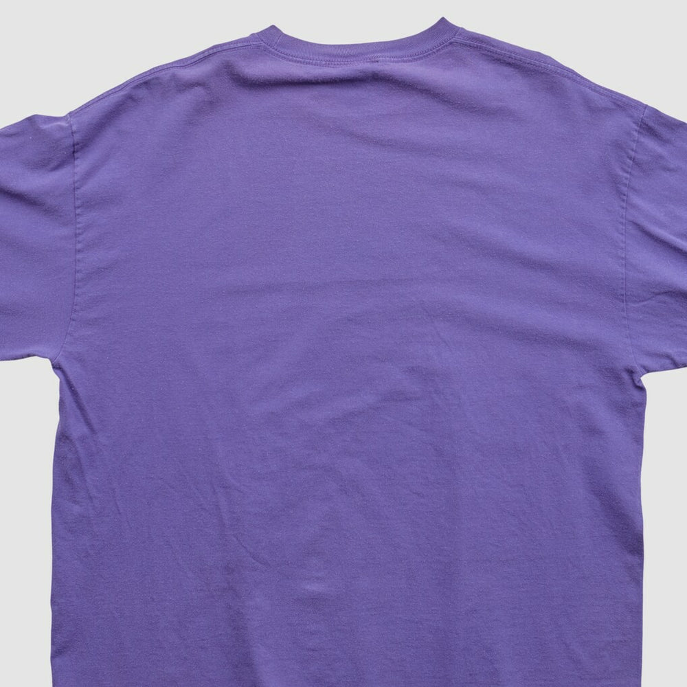 Minnesota Vikings NFL 2010s Long Sleeve T-shirt Purple Vintage - Fanatics