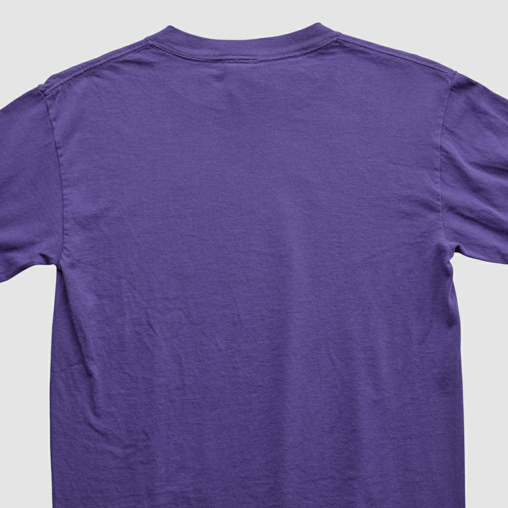 Adrian Peterson NFL 2000s Long Sleeve T-shirt Purple Vintage - Fanatics
