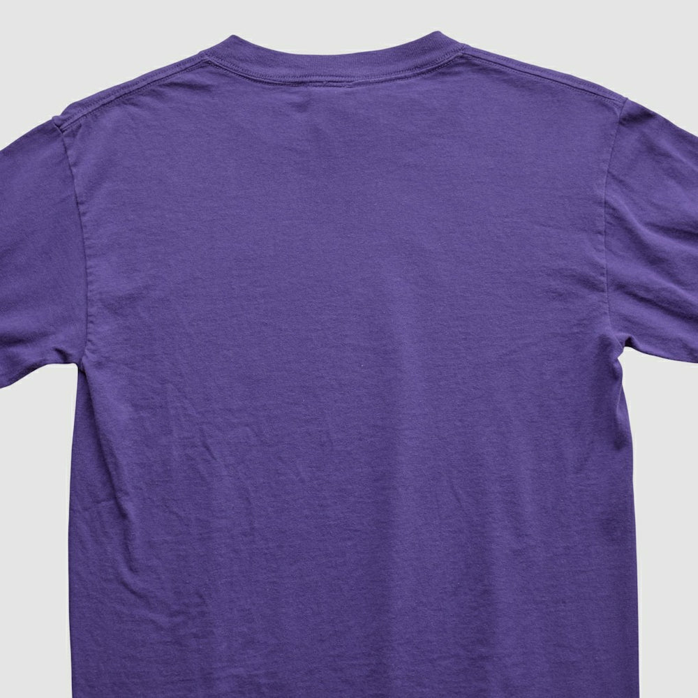 Adrian Peterson NFL 2000s Long Sleeve T-shirt Purple Vintage - Fanatics
