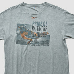 Baltimore Orioles Genuine Merchandise 2000s T-shirt Near Me