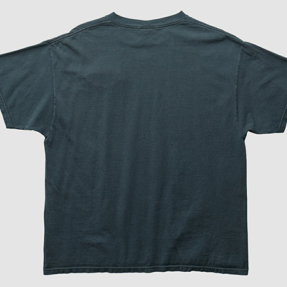 Pittsburgh Pirates True Fan 2000s T-shirt Online