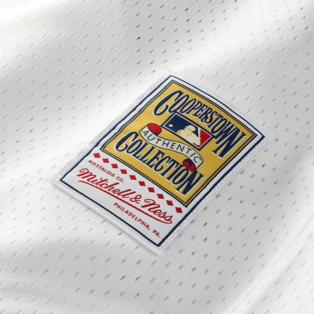 Carlton Fisk Chicago White Sox Mitchell & Ness Authentic Batting Practice Jersey Near Me