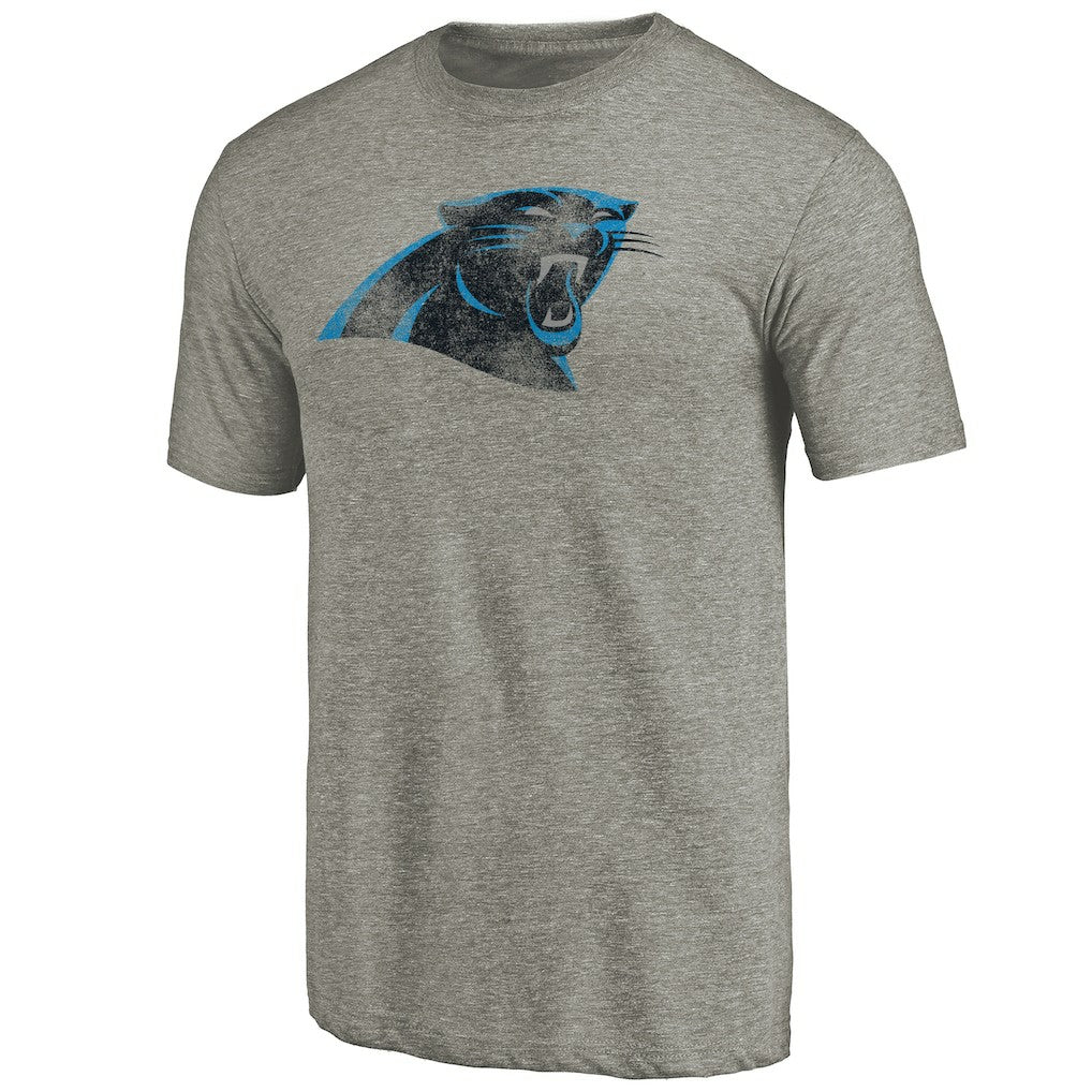 Carolina Panthers Distressed Team T-Shirt Ash - NFL