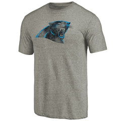 Carolina Panthers Distressed Team T-Shirt Ash - NFL