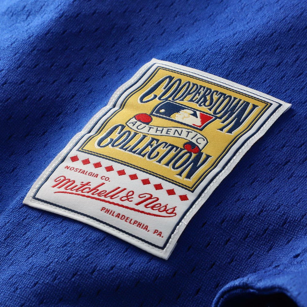 Mike Piazza Los Angeles Dodgers Mitchell & Ness Cooperstown Collection Mesh Batting Practice Button-Up Jersey for sale