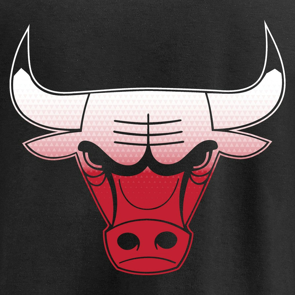 NBA - Chicago Bulls Gradient Logo T-Shirt - Black