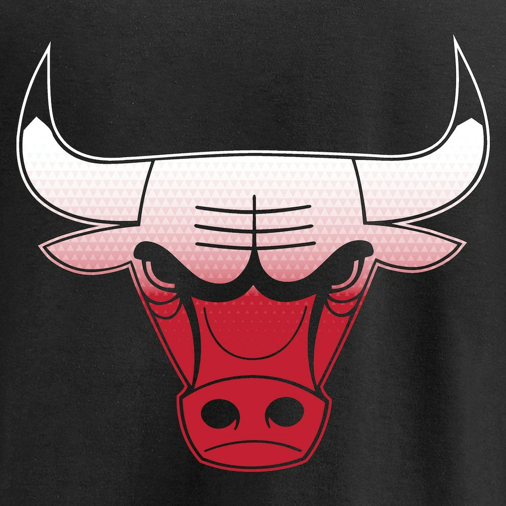 NBA - Chicago Bulls Gradient Logo T-Shirt - Black