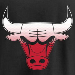 NBA - Chicago Bulls Gradient Logo T-Shirt - Black