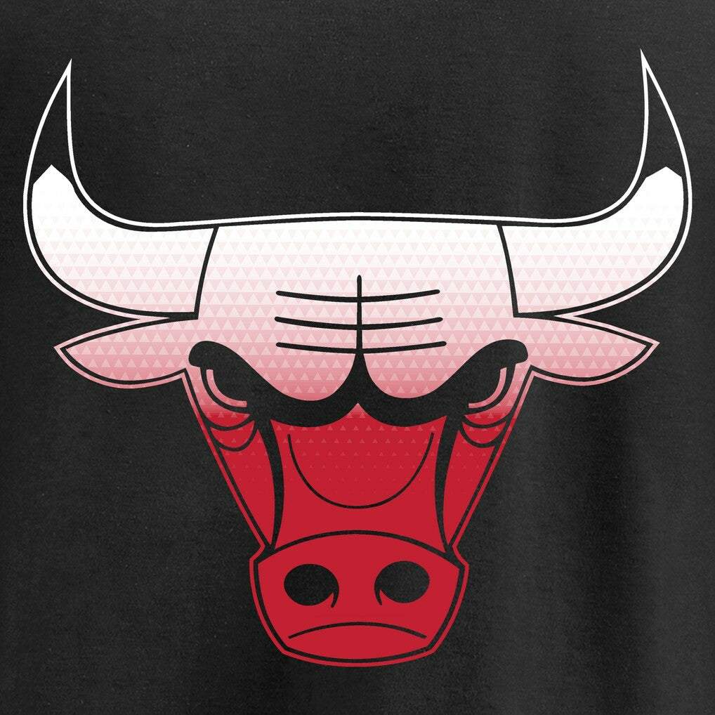 NBA - Chicago Bulls Gradient Logo Pullover Hoodie - Black