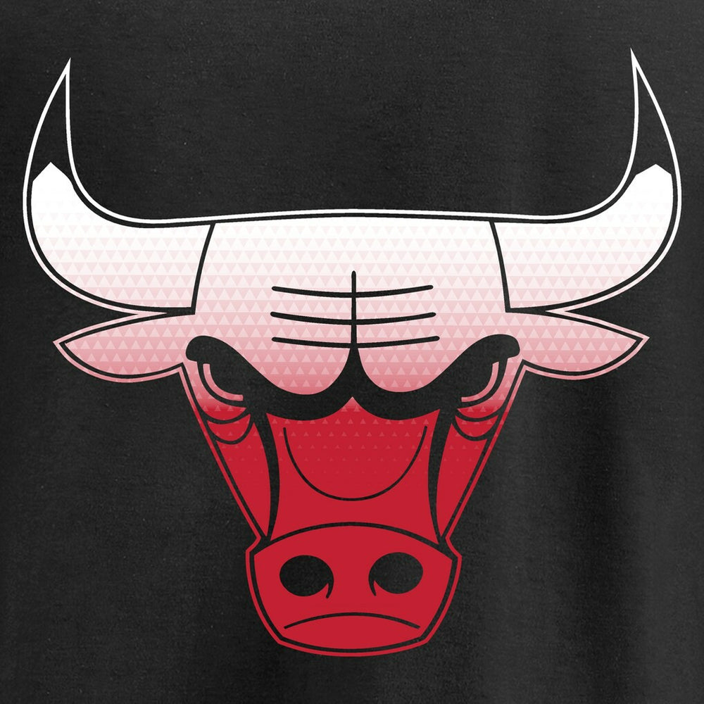 NBA - Chicago Bulls Gradient Logo Pullover Hoodie - Black