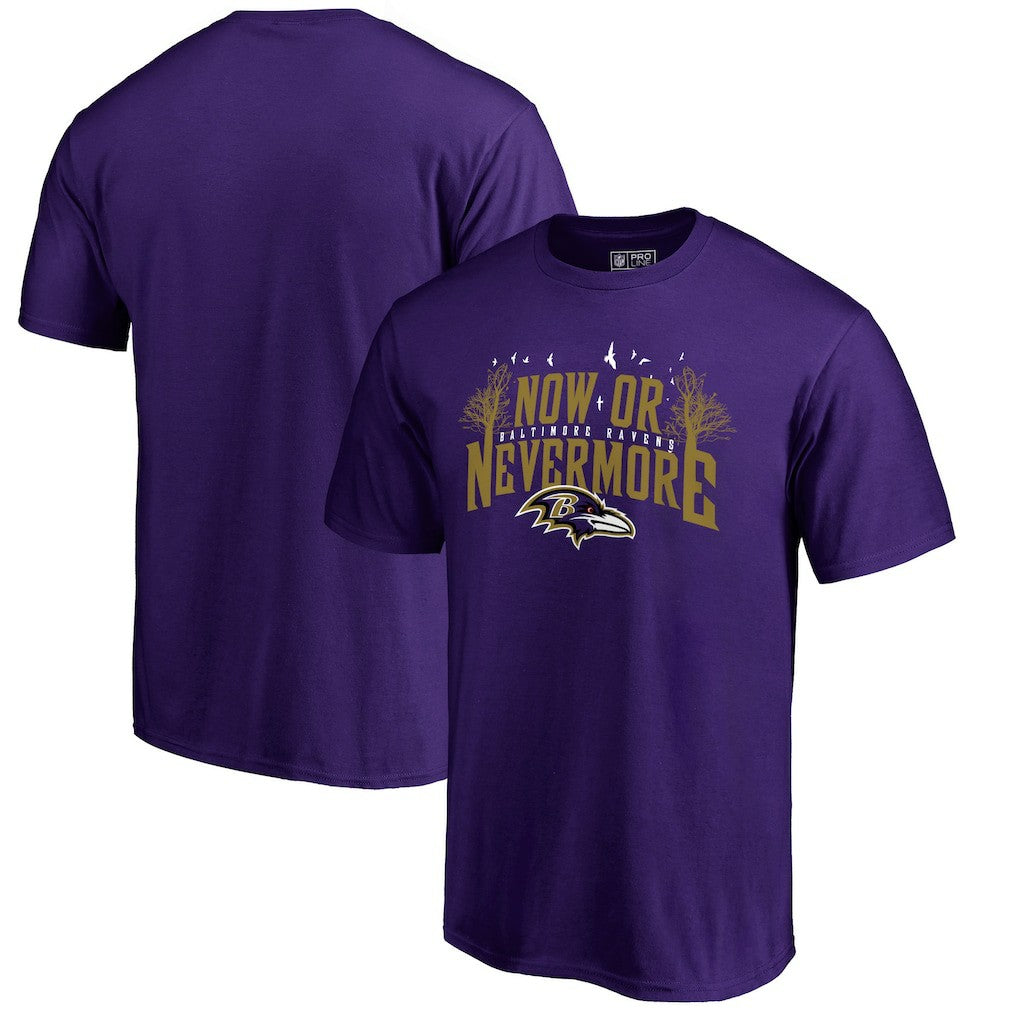 Baltimore Ravens Hometown Collection T-Shirt Purple - NFL