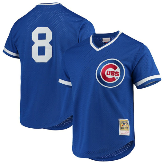 Andre Dawson Chicago Cubs Mitchell & Ness Authentic Batting Practice Jersey - Royal | MLB Jerseys