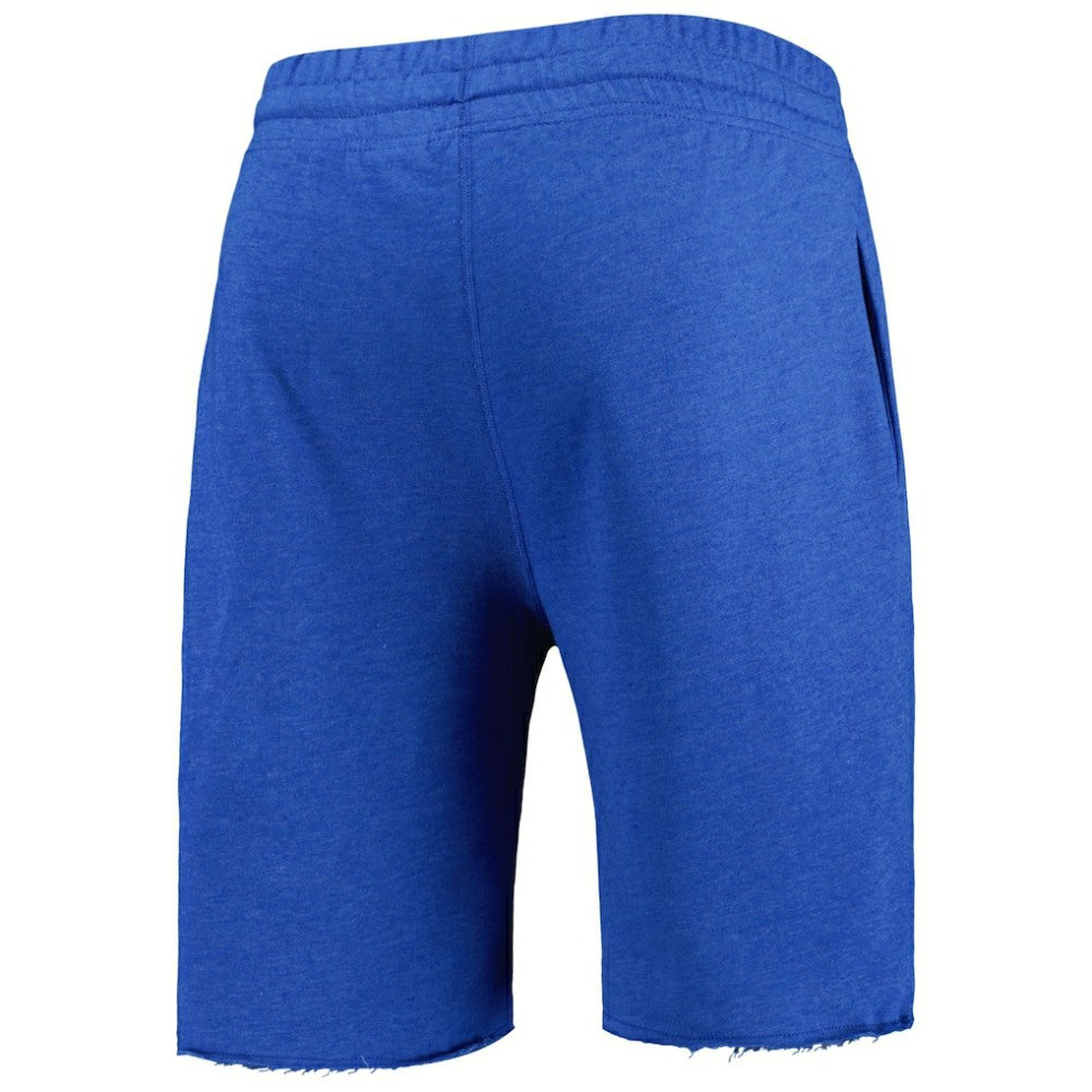 Chicago Cubs Concepts Sport Mainstream Terry Shorts On Sale