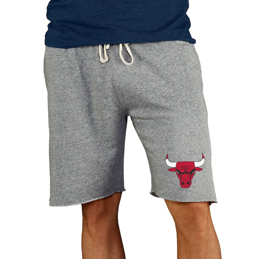 NBA - Chicago Bulls Concepts Sport Mainstream Terry Shorts - Gray