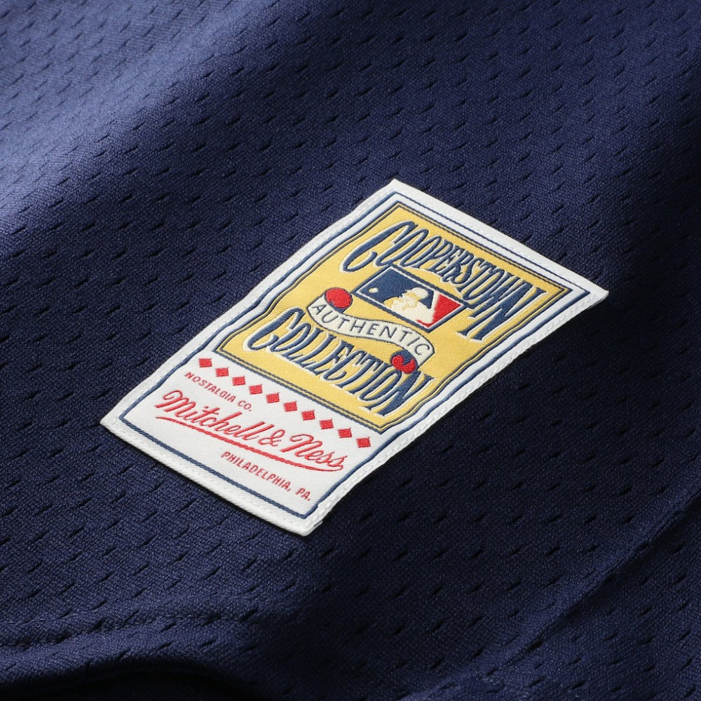 Pedro Martinez Boston Red Sox Mitchell & Ness Authentic Batting Practice Jersey Online