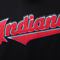Cleveland Guardians Pro Standard Team Logo T-Shirt On Sale