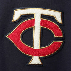 Minnesota Twins Pro Standard Team Logo Pullover Hoodie for sale
