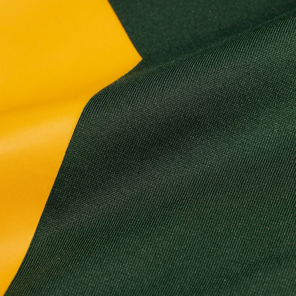 Green Bay Packers Alternate Custom Jersey Green - Nike