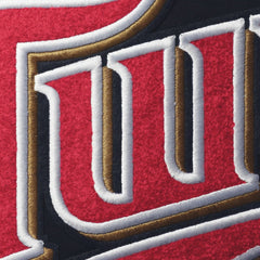 Minnesota Twins Pro Standard Team T-Shirt Online