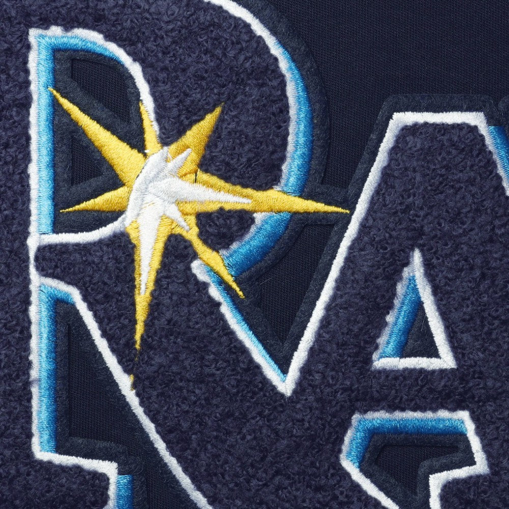 Tampa Bay Rays Pro Standard Team T-Shirt Lifestyle