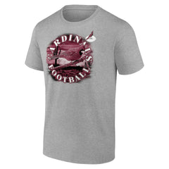 Arizona Cardinals Big & Tall Sporting Chance T-Shirt Heathered Gray - Fanatics