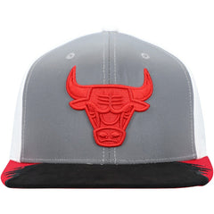 Mitchell & Ness - Chicago Bulls Day 5 Snapback Hat - Gray/White