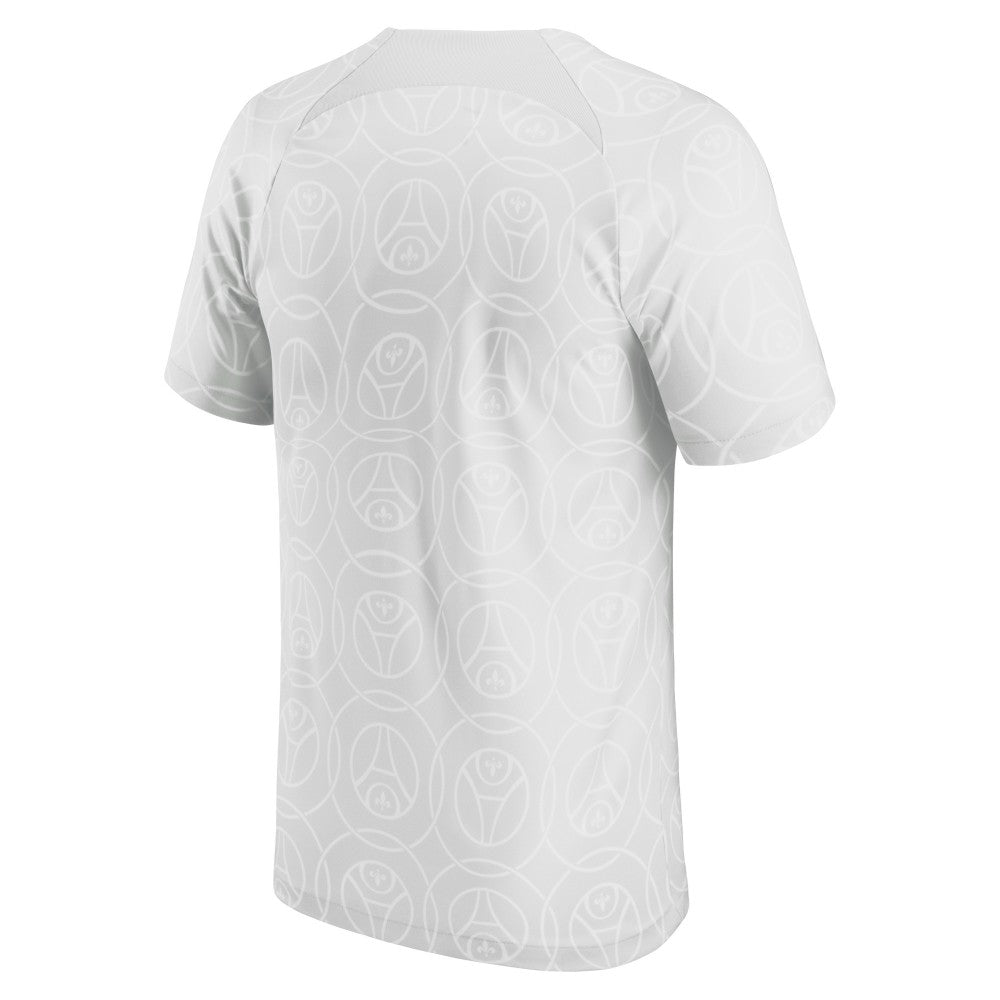 Nike Paris Saint-Germain 2022/23 Pre-Match Top - Gray