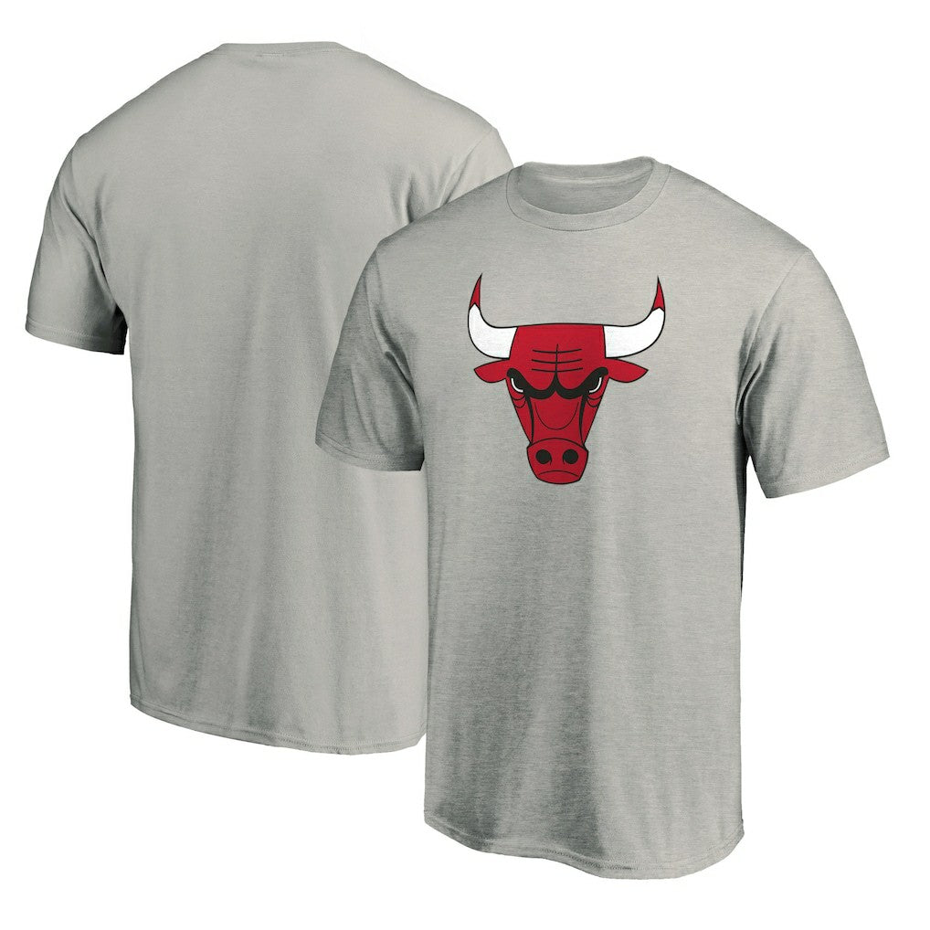 NBA - Chicago Bulls Primary Mascot Logo T-Shirt - Heathered Gray