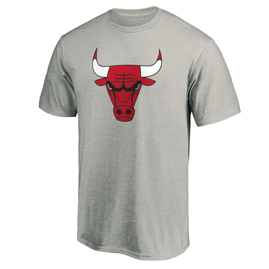NBA - Chicago Bulls Primary Mascot Logo T-Shirt - Heathered Gray