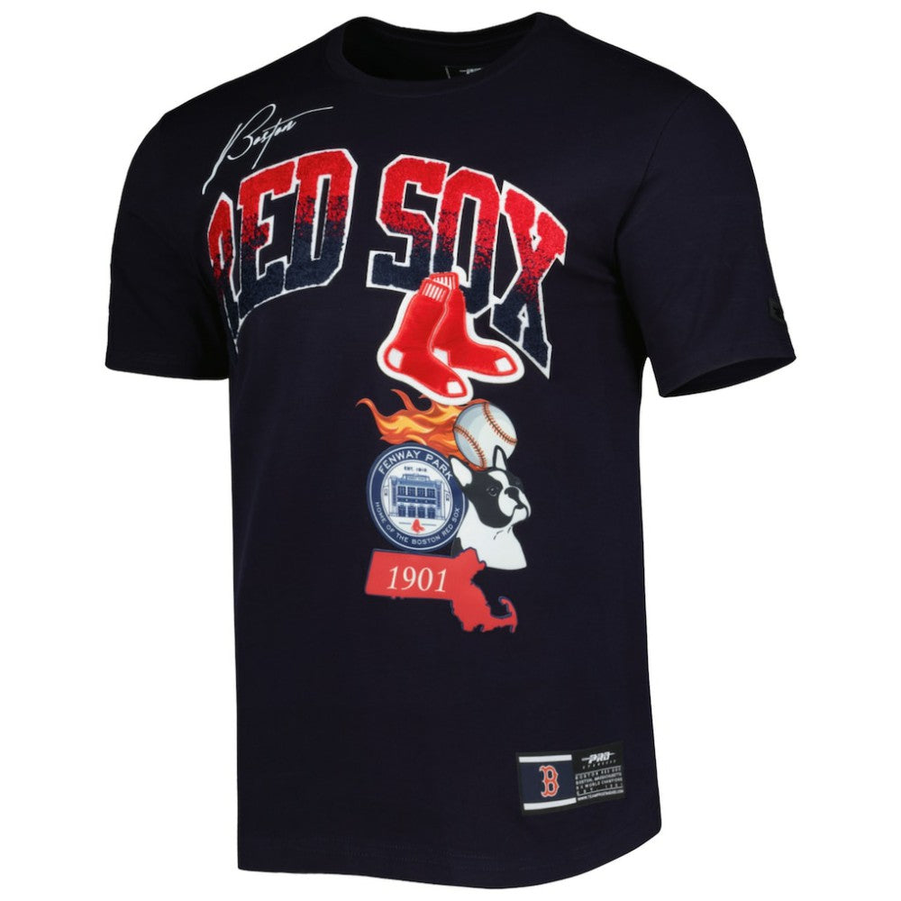 Boston Red Sox Pro Standard Hometown T-Shirt Clearance