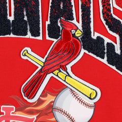 St. Louis Cardinals Pro Standard Hometown T-Shirt Lifestyle