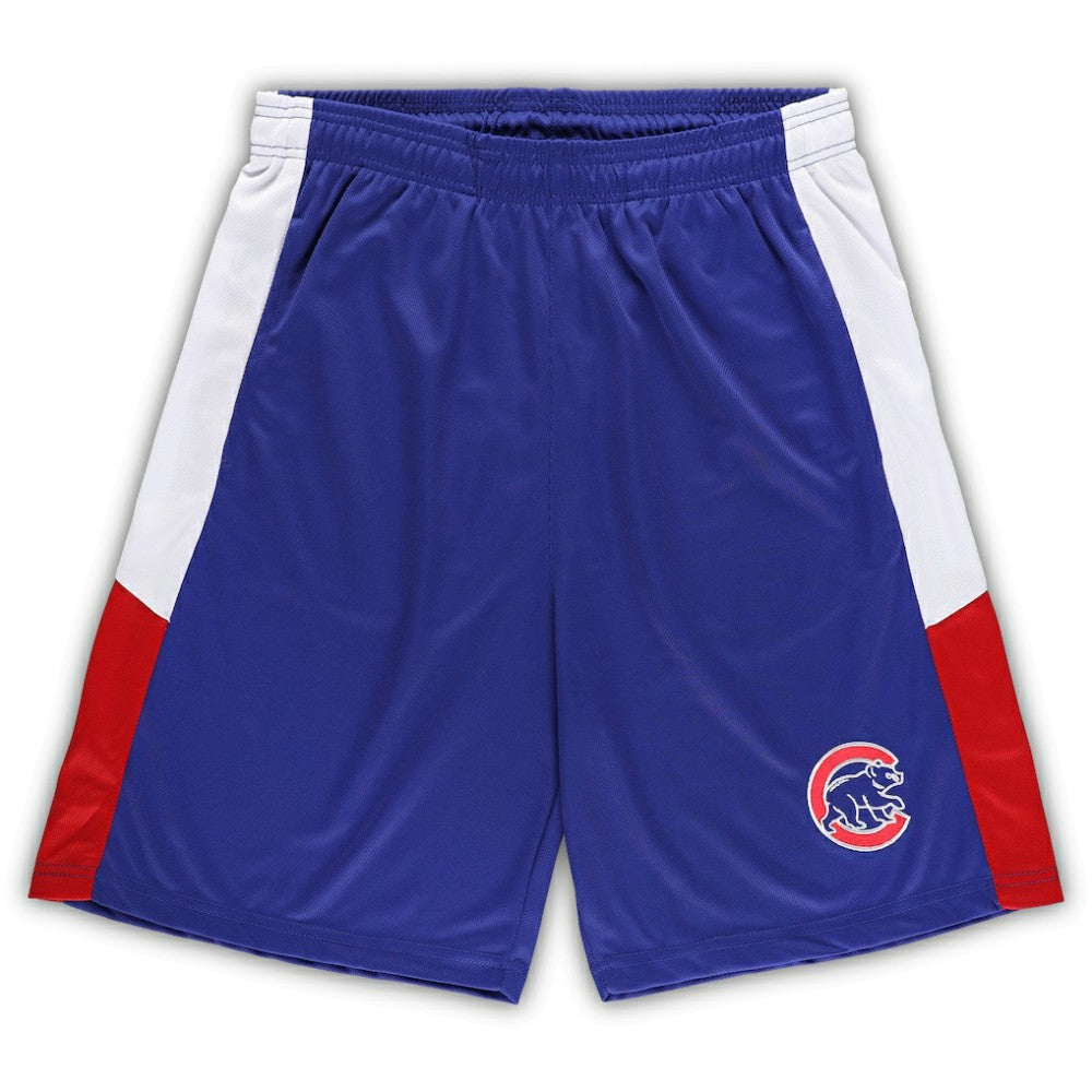 Chicago Cubs Big & Tall Team Shorts Online
