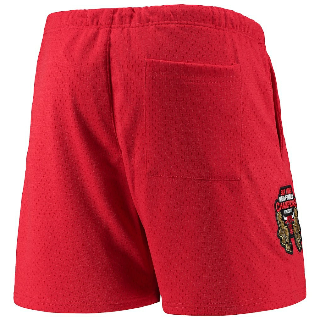 NBA - Chicago Bulls Pro Standard Mesh Capsule Shorts - Red